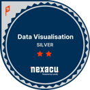 Silver Data Visualisation Badge